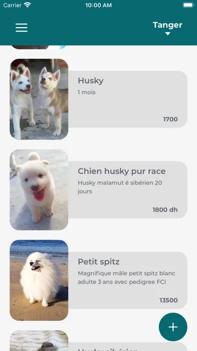 Ảnh chụp màn hình của Happy Pet: Adoption Coupling