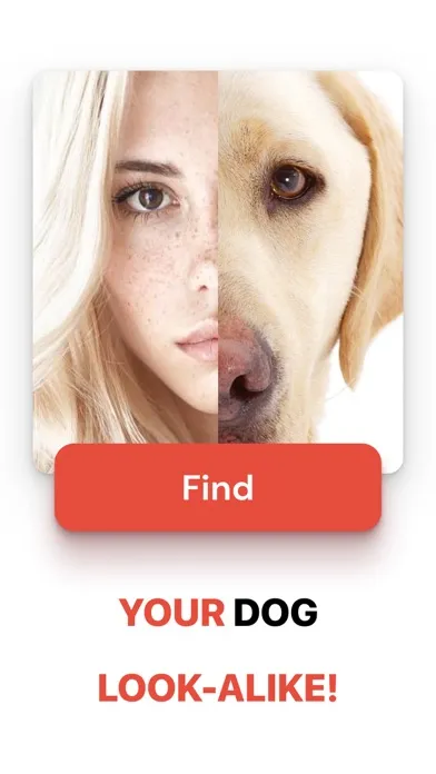 What Dog Do I Look Like ? Twin Ekran Görüntüleri