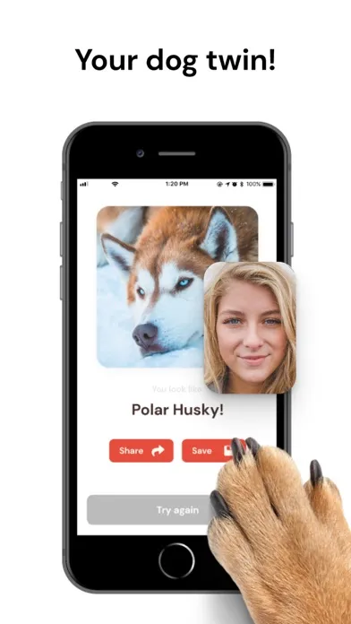 What Dog Do I Look Like ? Twin Ekran Görüntüleri