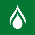 Yates Island Gas