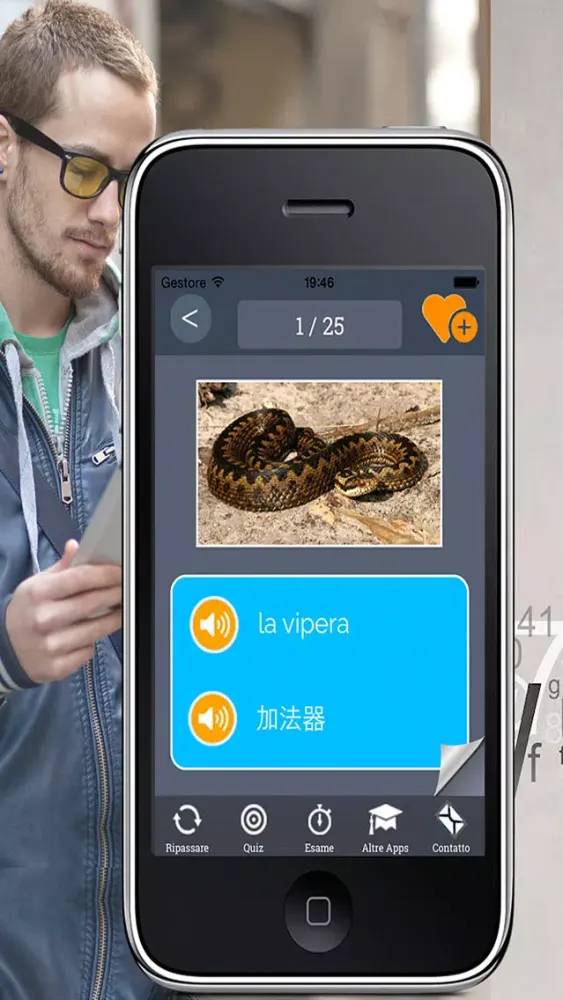Word Trainer CH-IT Screenshots