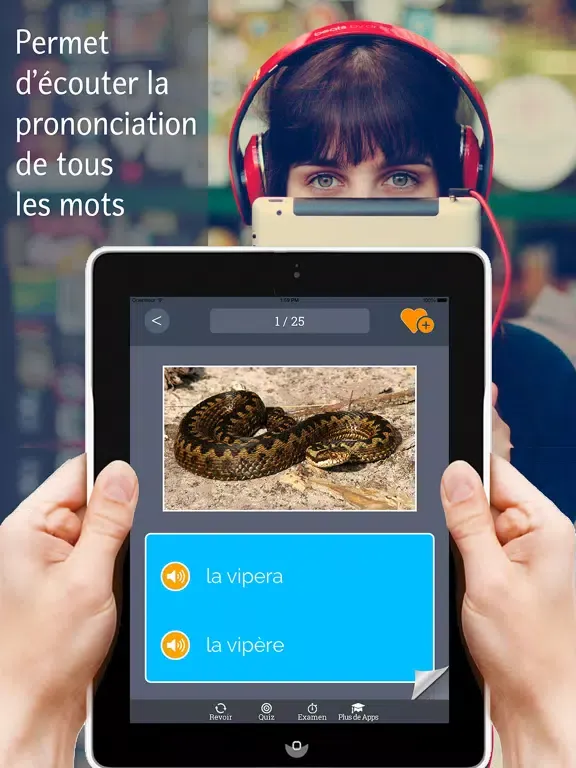 Word Trainer IT-FR iPad 应用截图