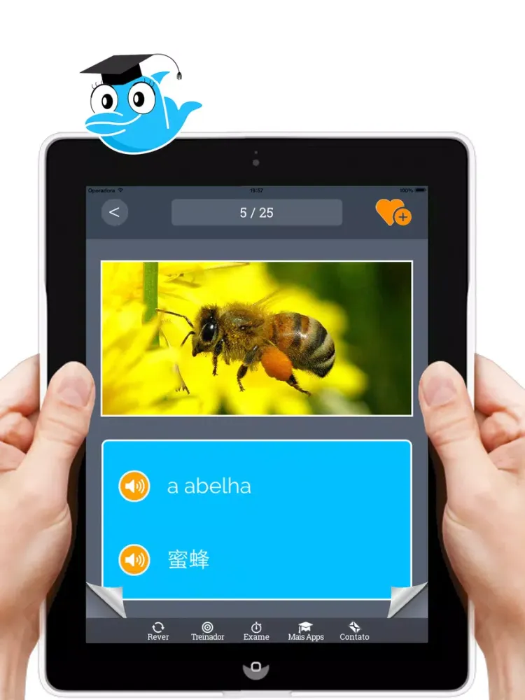 Learn Chinese and Portuguese Vocabulary - Free iPad  स्क्रीनशॉट