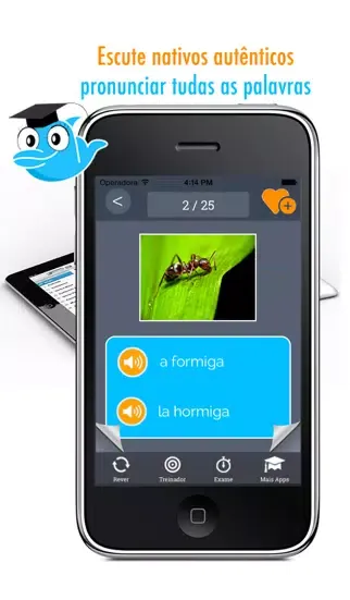 Learn Portuguese and Spanish Vocabulary: Memorize Words - Free Ekran Görüntüleri