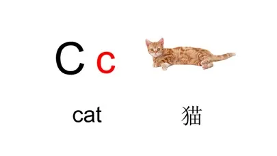 Capturas de tela do 英文字母表