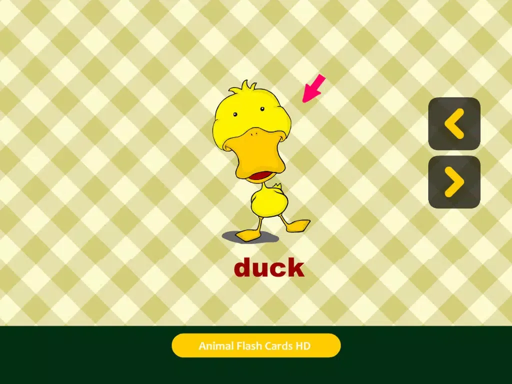 Animal Flash Cards HD iPad  Ekran Görüntüleri