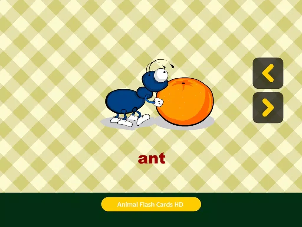 Animal Flash Cards HD iPad  Ekran Görüntüleri