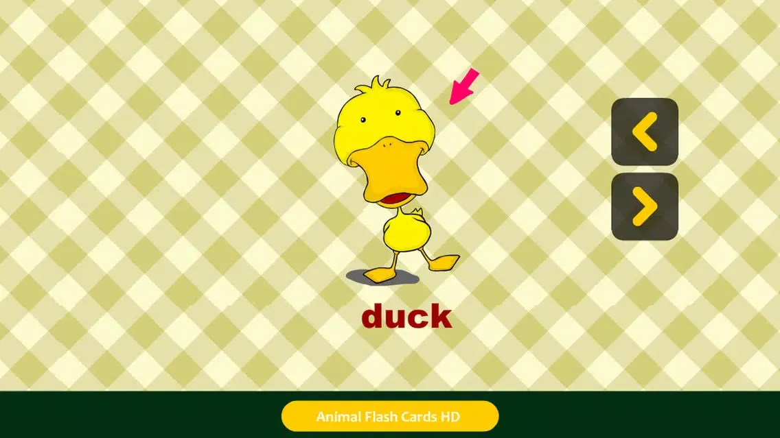Animal Flash Cards HD Ekran Görüntüleri