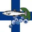 Finnish Food Recipes