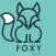 FOXY Colorbar