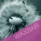 Позитивная депиляция WAXBAR