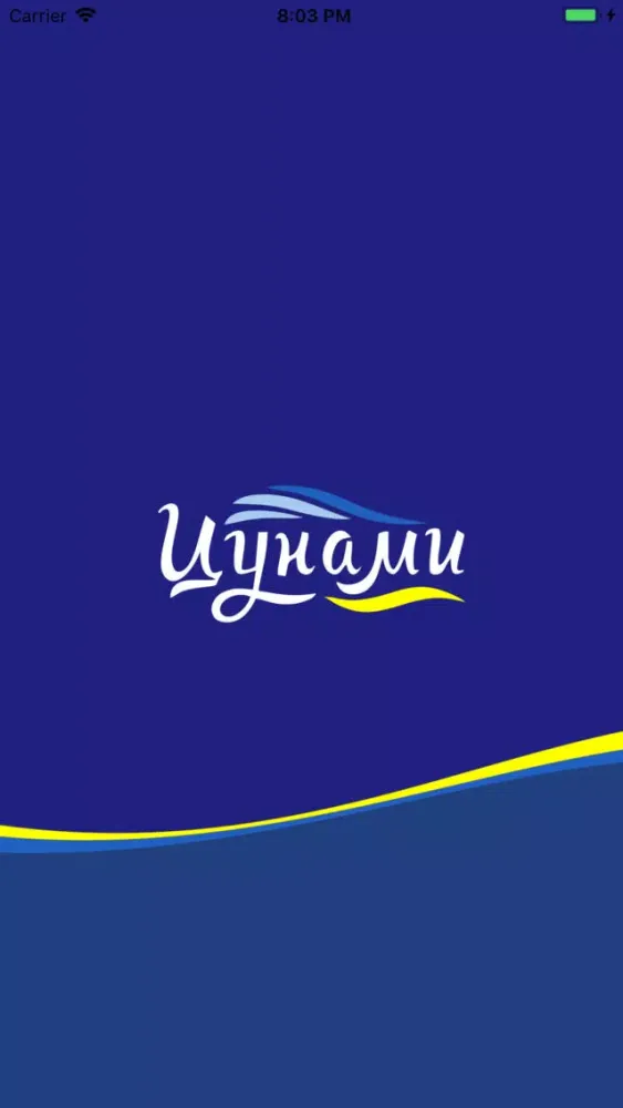 Скриншоты BEACH CENTER TSUNAMI