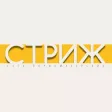 Салоны Стриж