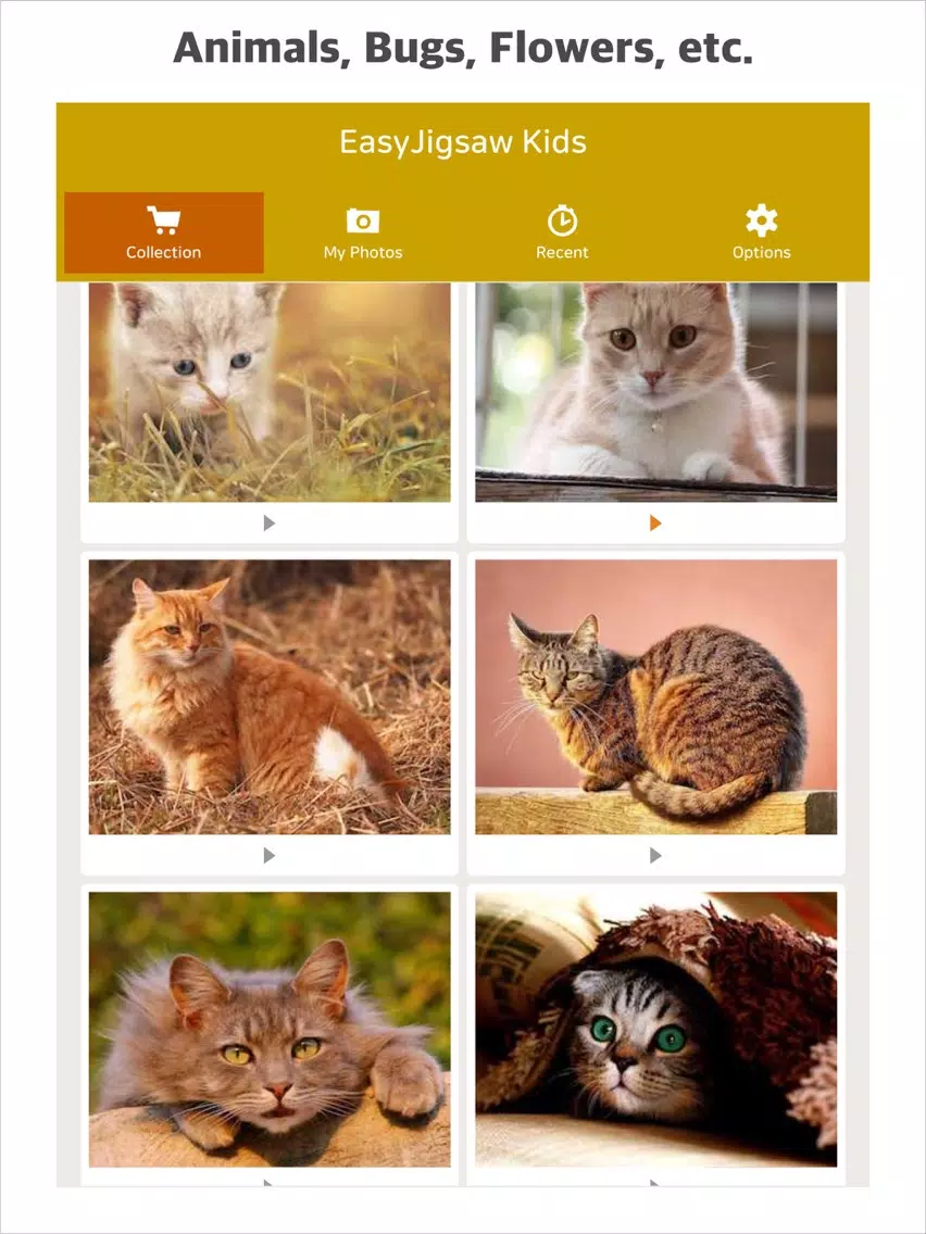 Tangkapan layar EasyJigsaw Kids iPad 