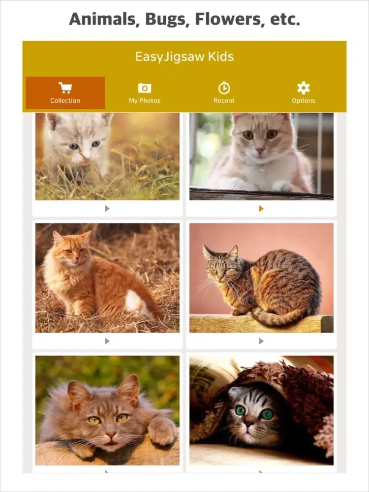 Tangkapan skrin EasyJigsaw Kids iPad 