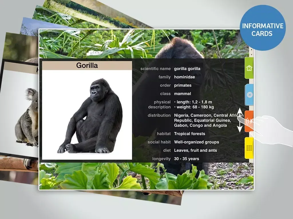 Zrzuty ekranu Animals 100 LITE - Real Animals iPad 