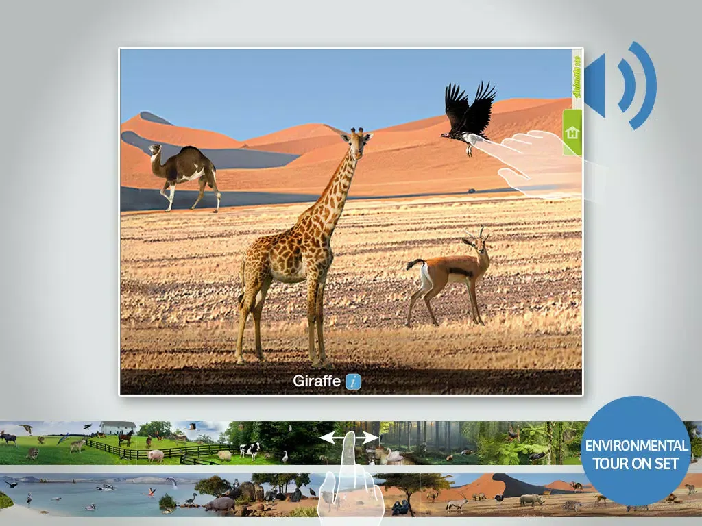 Zrzuty ekranu Animals 100 LITE - Real Animals iPad 