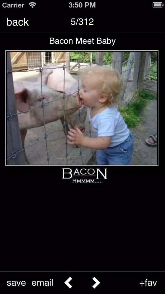 Funniest Pictures Screenshots