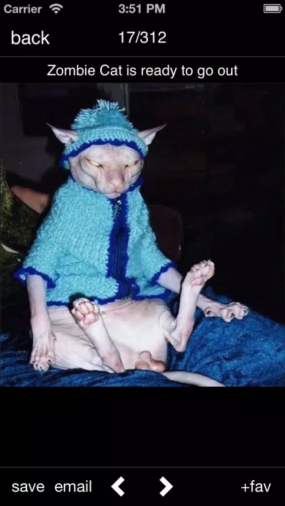 Funniest Pictures Screenshots