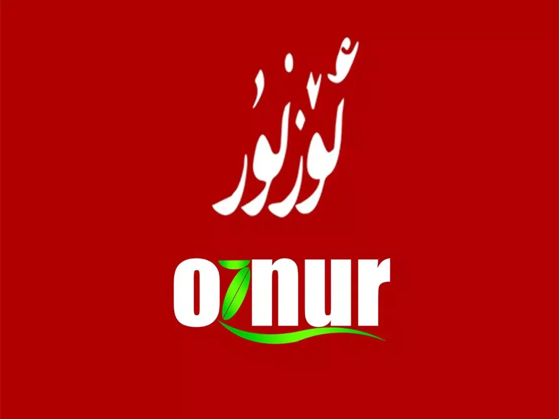 ئۆزنۇر iPad 应用截图