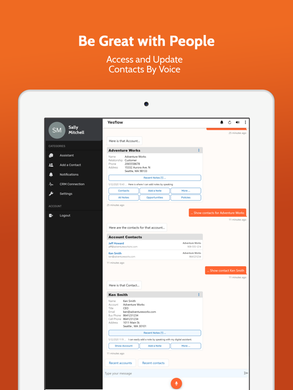 Yesflow Digital Assistant iPad 应用截图