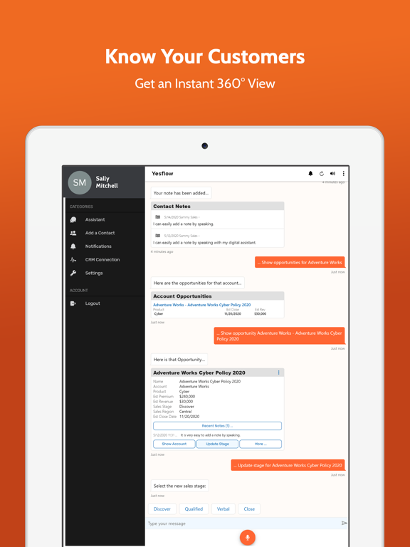 Yesflow Digital Assistant iPad 应用截图