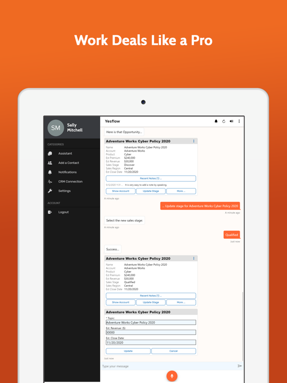 Yesflow Digital Assistant iPad 应用截图