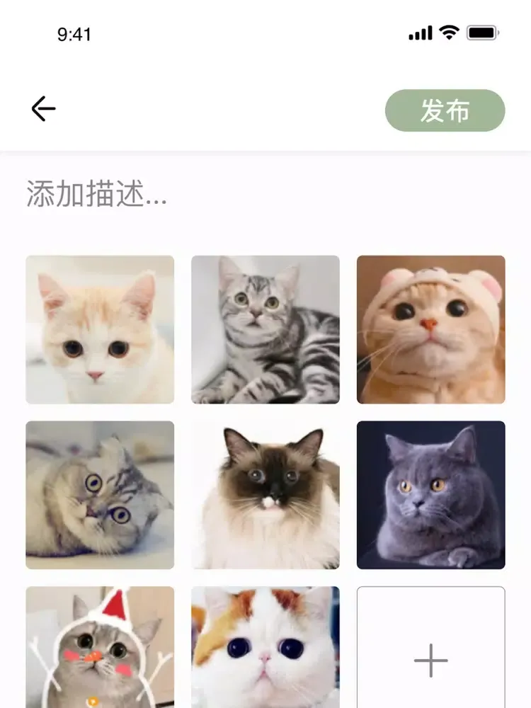 一点年华 iPad  スクリーンショット