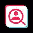 TikProfile: Preview