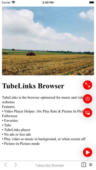 Screenshot di TubeLinks Browser