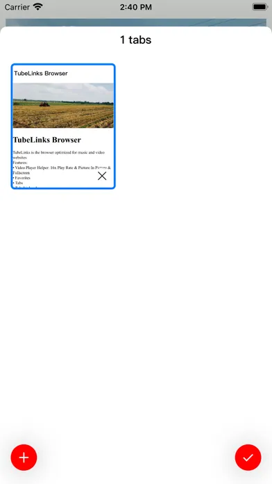 Screenshot di TubeLinks Browser