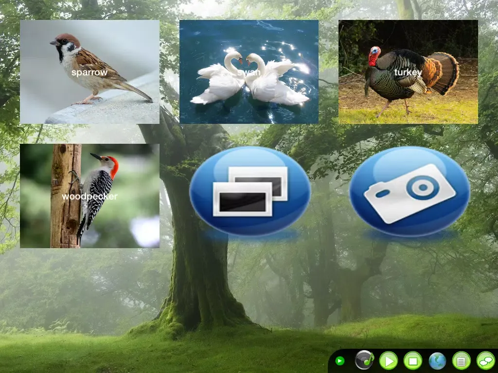 Screenshot di DIY Baby Flash Cards - Birds iPad 