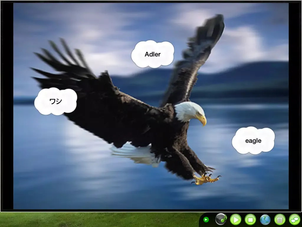 Screenshot di DIY Baby Flash Cards - Birds iPad 