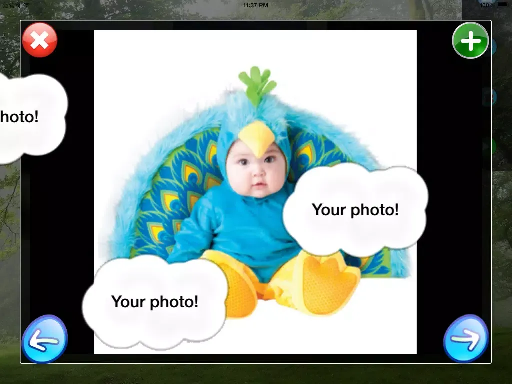 Screenshot di DIY Baby Flash Cards - Birds iPad 