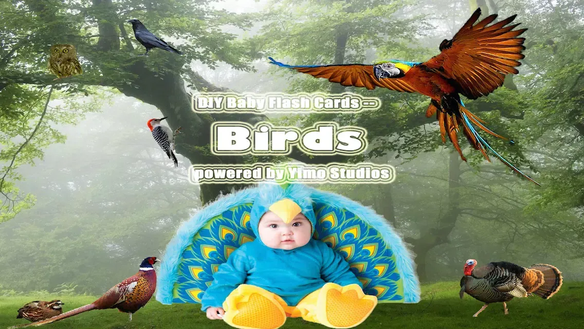 Screenshot di DIY Baby Flash Cards - Birds