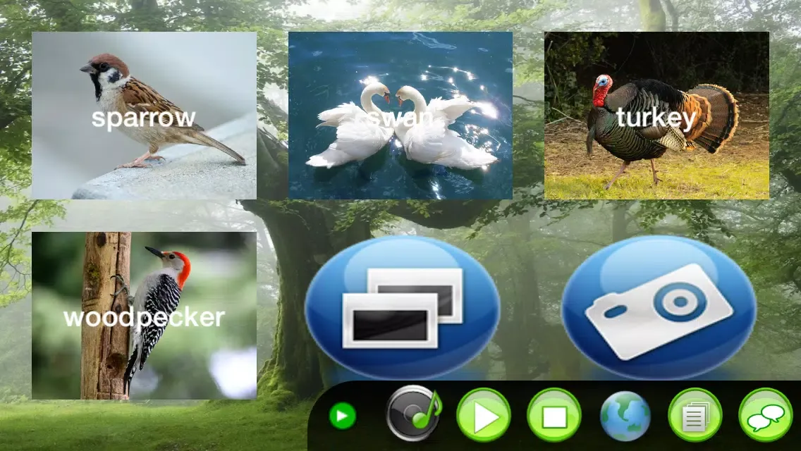 Screenshot di DIY Baby Flash Cards - Birds