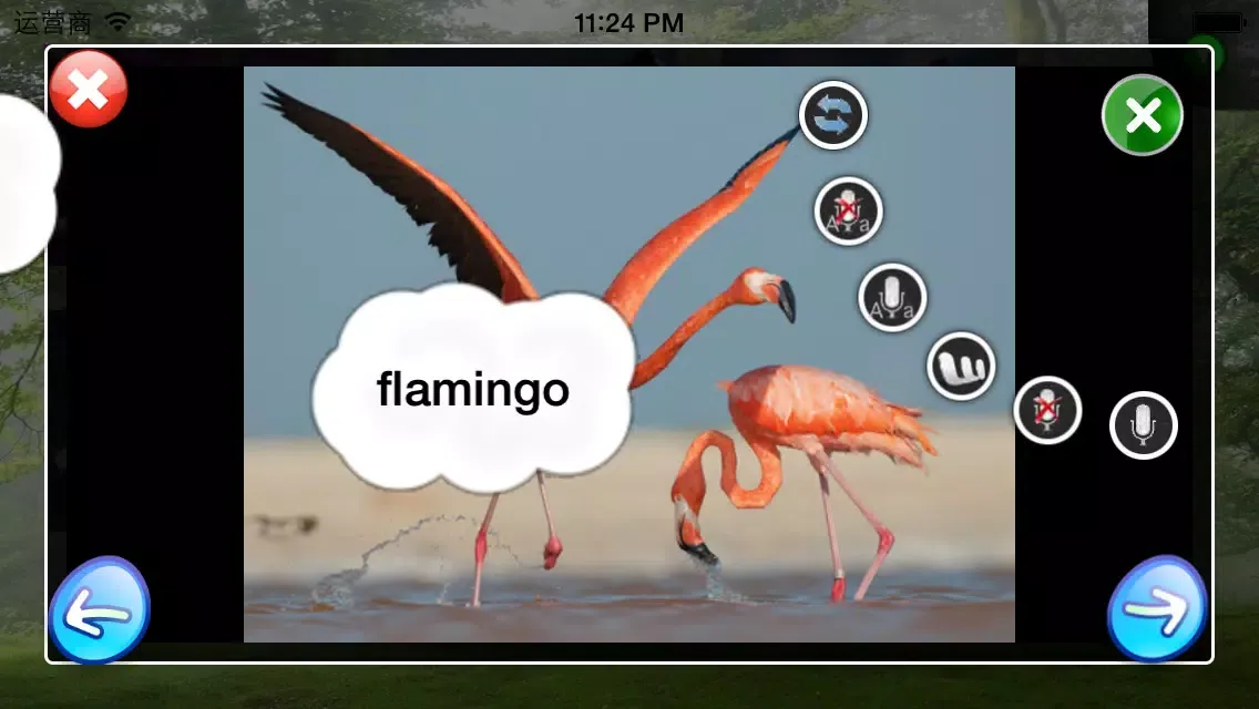 Screenshot di DIY Baby Flash Cards - Birds