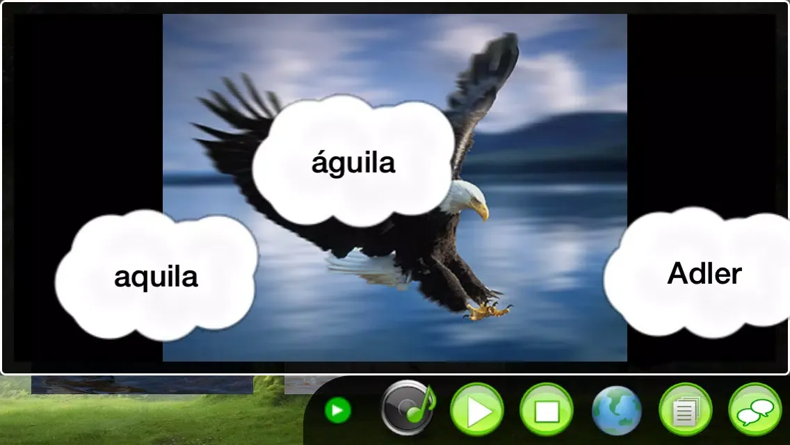 Screenshot di DIY Baby Flash Cards - Birds