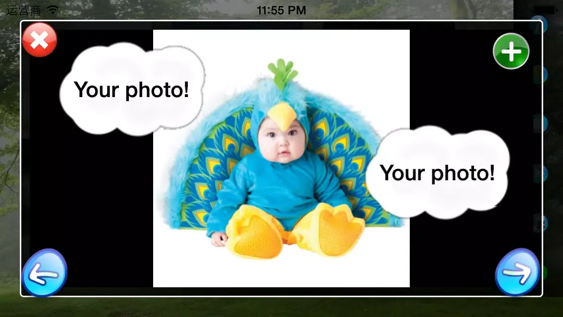 Screenshot di DIY Baby Flash Cards - Birds