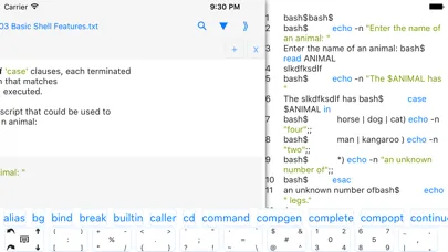 ภาพหน้าจอของ bashi$ - programming language