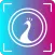 Poze Naija Sticker App