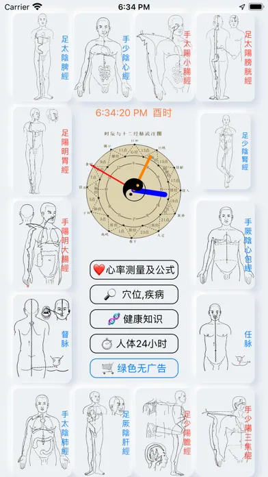 中医经络穴位注流和人体工作表 スクリーンショット