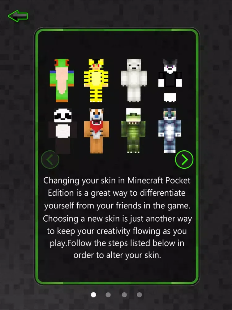 Best Fantasy Skins Pro - Skin Exporter for Minecraft Pocket Edition iPad 应用截图