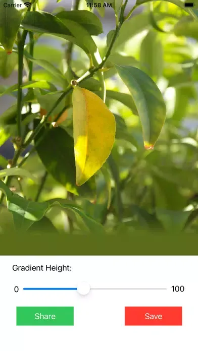 Gradient - bottom of image应用截图