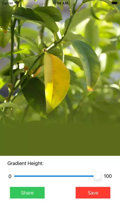 Gradient - bottom of image应用截图