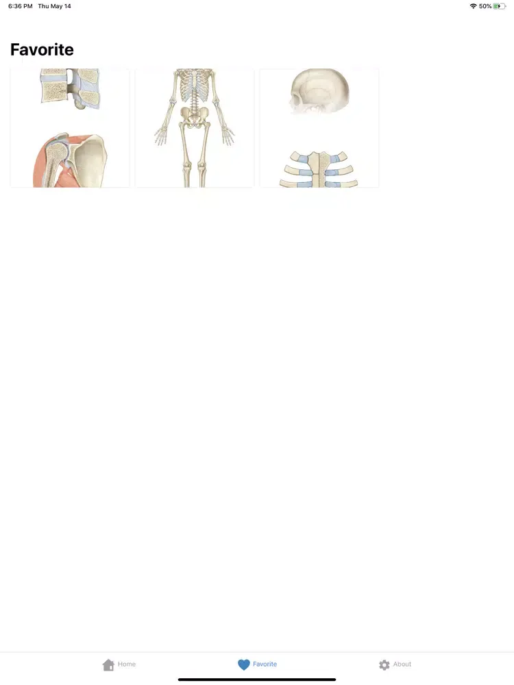 Human Anatomy -Anatomical term iPad  سکرین شاٹس