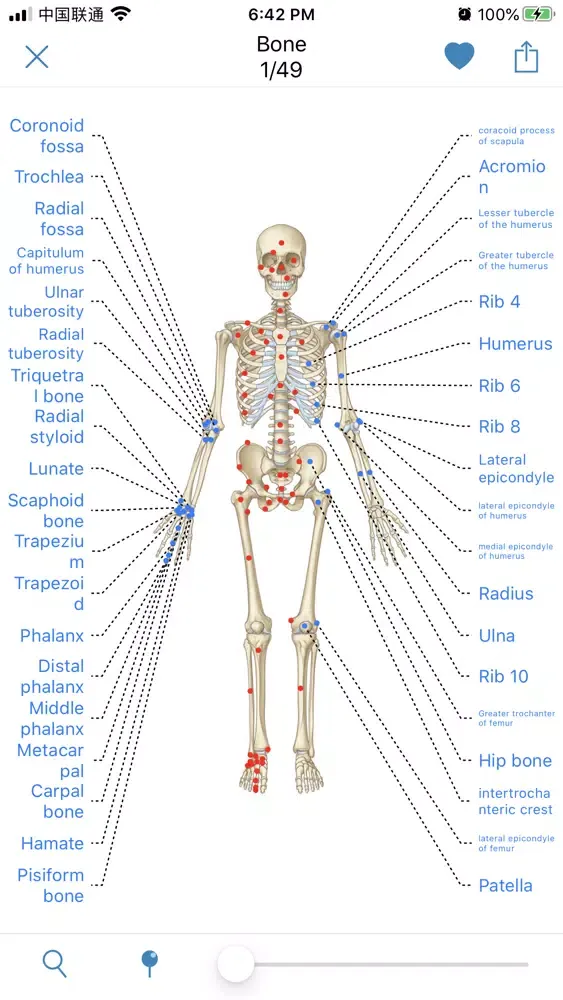 Human Anatomy -Anatomical term سکرین شاٹس