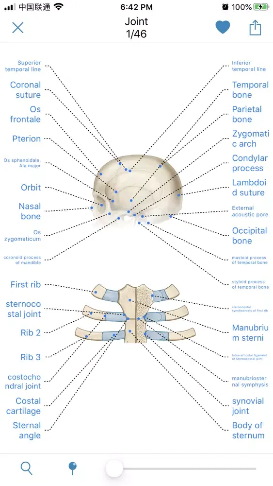 Human Anatomy -Anatomical term سکرین شاٹس