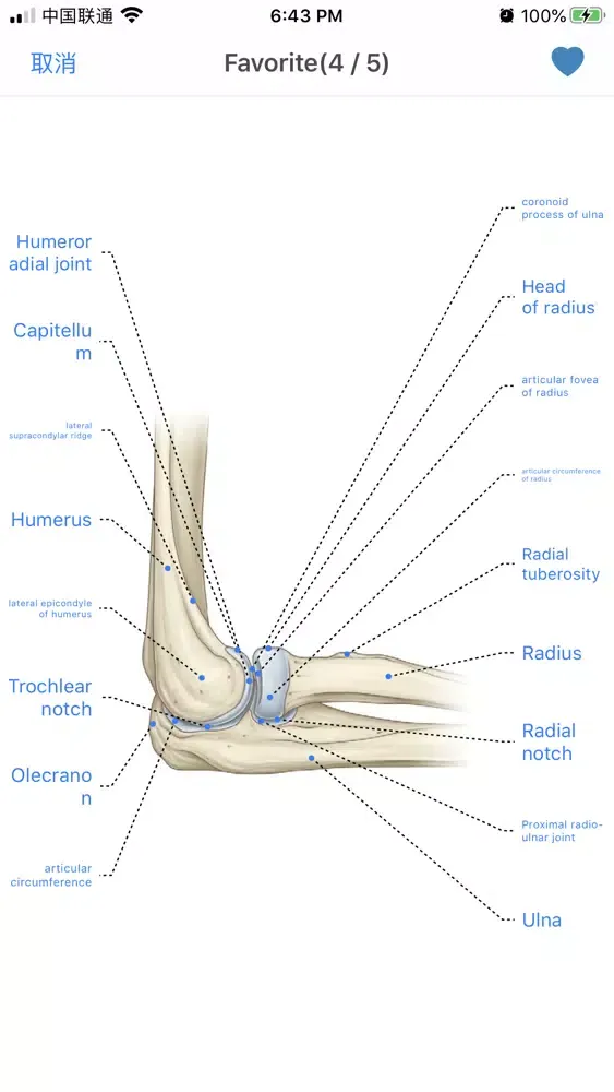 Human Anatomy -Anatomical term سکرین شاٹس