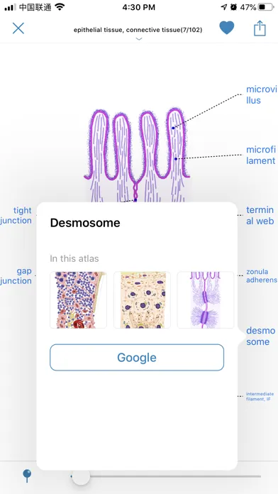 صور Atlas of Human Histology
